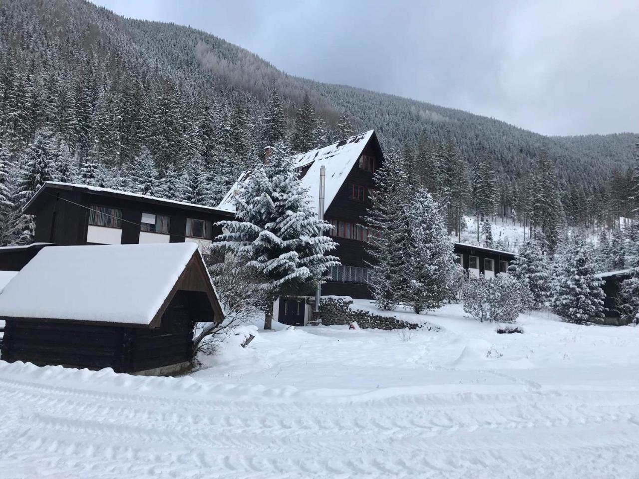 Horska Chata Primula - 1000 M Nad Morom Zuberec Εξωτερικό φωτογραφία