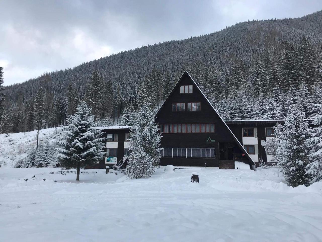 Horska Chata Primula - 1000 M Nad Morom Zuberec Εξωτερικό φωτογραφία